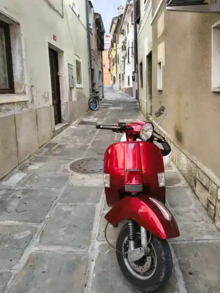 Koper