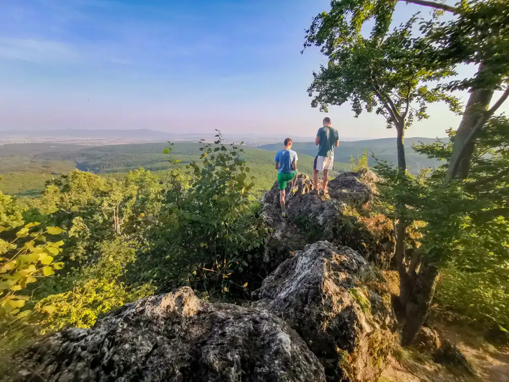Mačacia skala