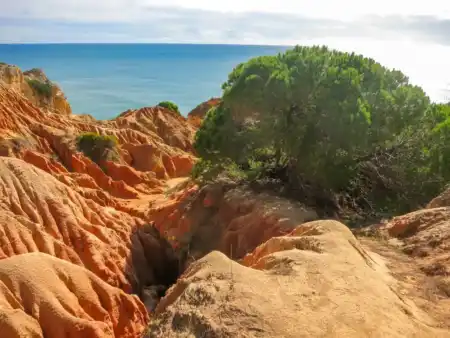 Algarve Marinha trail