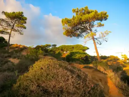 Algarve Oura trail