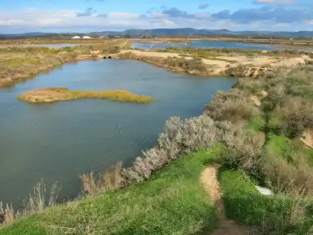 Ria Formosa