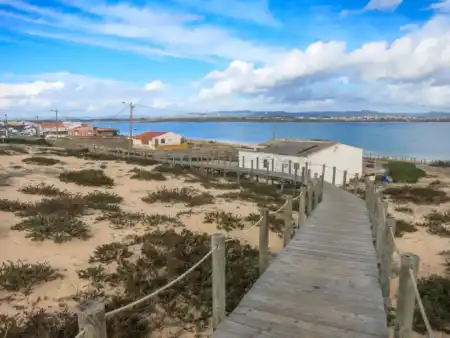 Kolónia na Praia de Faro