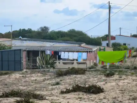 Kolónia na Praia de Faro