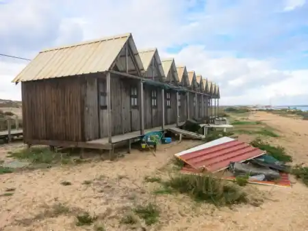 Kolónia na Praia de Faro