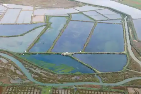 Ria Formosa z lietadla