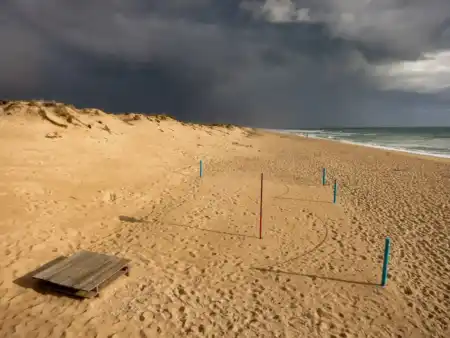 Pred urkou na raia de Faro