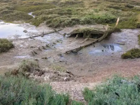 Rybýrske zátišia na Ria Formosa