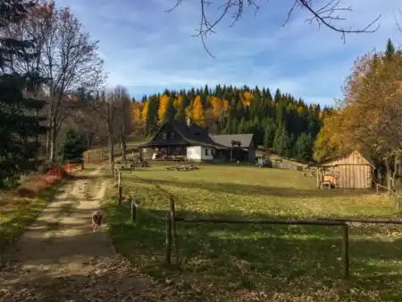 Bzové Soláň