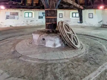 Konský gápeľ