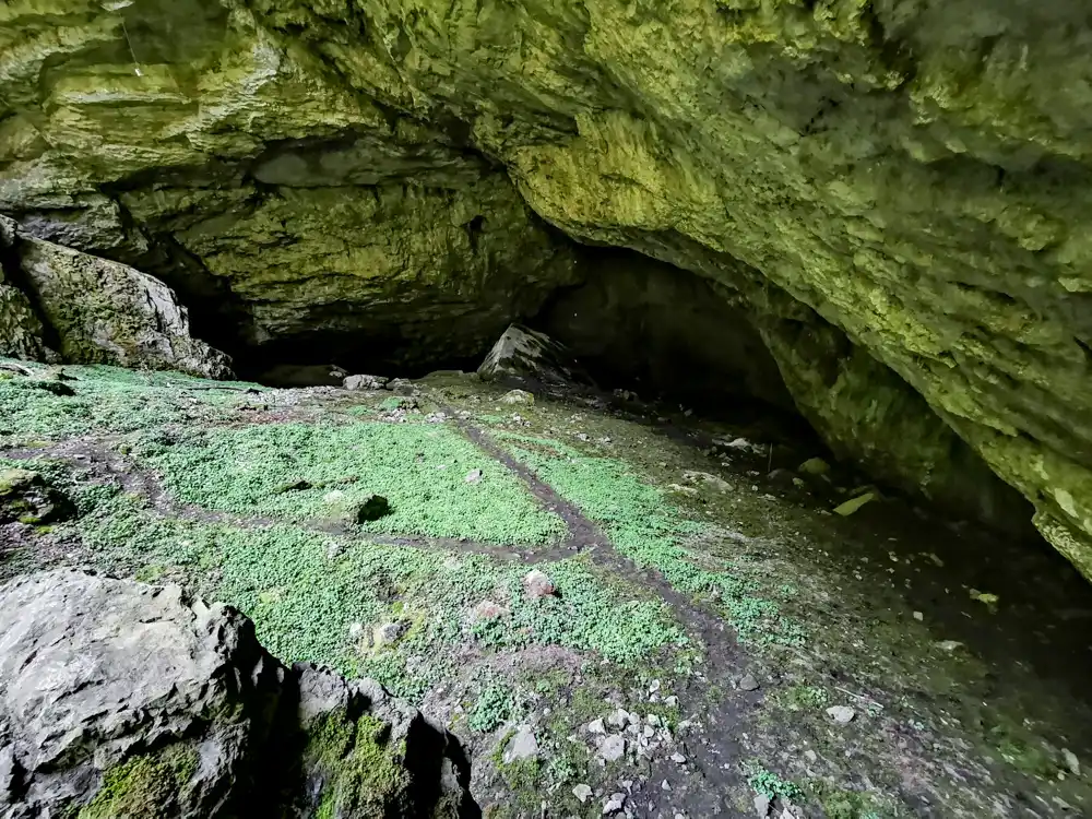 Silická ľadnica