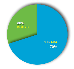 Strava vs pohyb